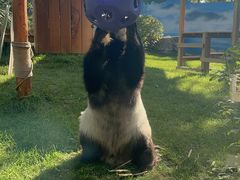 -鄂尔多斯野生动物园