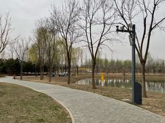 -东郊湿地公园