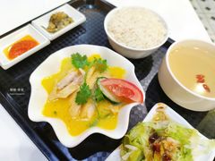 金汤鸡饭-尚轩·海南鸡饭