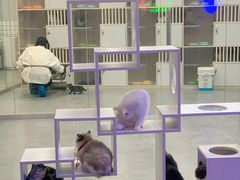 -极木²邸 人与宠物·互动社区