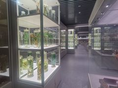-北京中医药大学-中医药博物馆