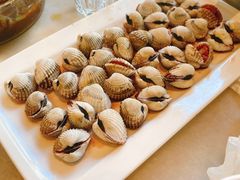 血蛤-华盛丰温州大排档(东三环南路店)