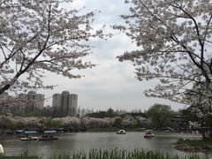 -上海植物园-4号门售票处