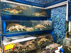 水产区-蚝专家(北滘店)