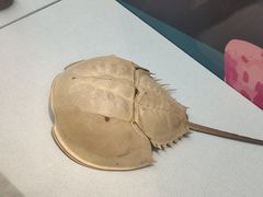 -陕西自然博物馆