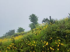-九宫山风景区