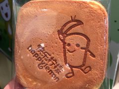 -快乐柠檬happylemon(日月光店)