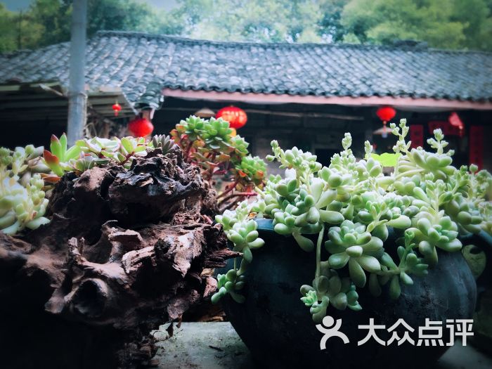 木言兰舍图片 - 第70张