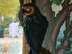 -石家庄市动物园