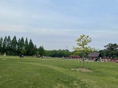 -上海滨江森林公园