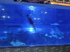 -成都浩海立方海洋公园