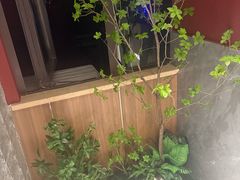 -东锅锅·田园松滋鸡(万龙店)