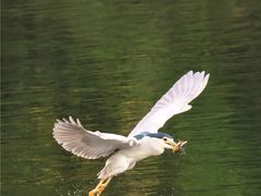 -重庆彩云湖湿地公园