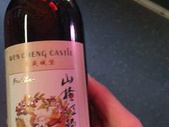 -文成城堡