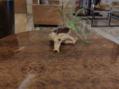 -威珀斯酒店·珀萃美食餐厅 | 海鲜刺身·现烤生蚝·特色烤肉