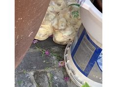 -茯茶镇