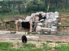 -清迈夜间动物园