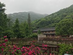 -木兰云雾山