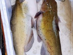 -科巷菜场