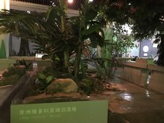 -中国湿地博物馆