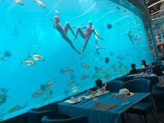 -瑞德姆美人鱼海底演艺主题餐厅(亚龙湾店)