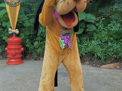 -奥兰多迪士尼动物王国乐园