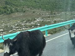 -兔儿山