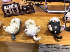 -猫小院猫主题咖啡厅(北锣店)