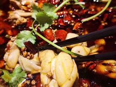 -麻辣巅峰美蛙鱼头火锅(犀浦店)