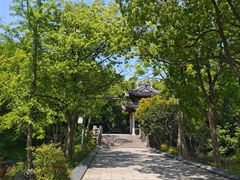 -长广溪湿地公园