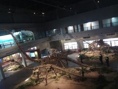 -自贡恐龙博物馆