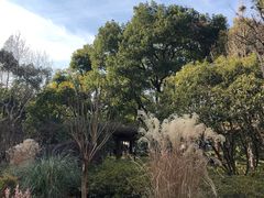 -徐家汇源景区-衡山公园