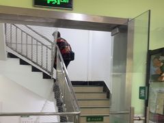 -学知乐教育·幼小衔接·小学科辅导(嘉定镇校区)
