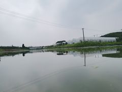 -美家乐农庄·露营·团建(大治路店)