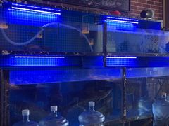 -姜君·千岛湖鱼头馆(浦东大道店)