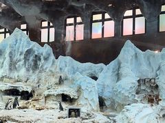 -帝企鹅自助餐厅•儿童岛•真企鹅(长隆企鹅酒店)