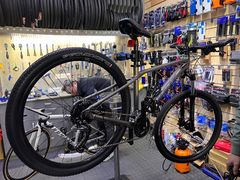 -GIANT捷安特自行车专卖店(金桥台儿庄路店)