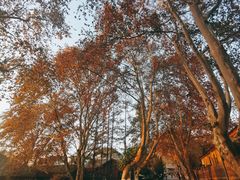 -T80科技文化国际社区-停车场