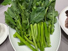 新鲜板蓝根-协成海鲜火锅(情侣路店)