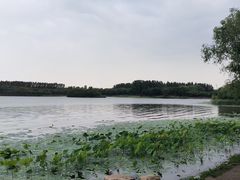 -丁香湖公园