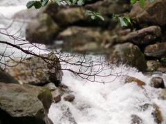 -白云源风景区