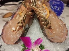 -海月轩海鲜豆捞(紫金塔店)
