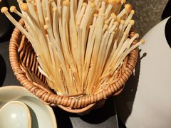 -季季山·云南野生菌火锅(上海首店)