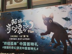 -万达影城(CBD万达广场IMAX店)