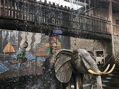 -呀路古热带植物园
