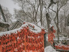 -恭王府博物馆