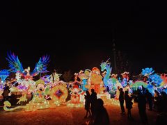-花博汇(知音花月夜)