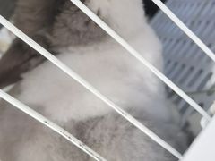 -小意思咖啡店(草桥店)