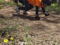 -上林马术中央公园·户外露营·团建·骑乘