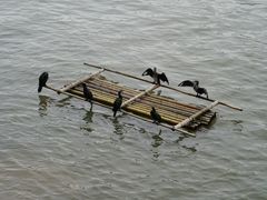 -新安江山水画廊风景区